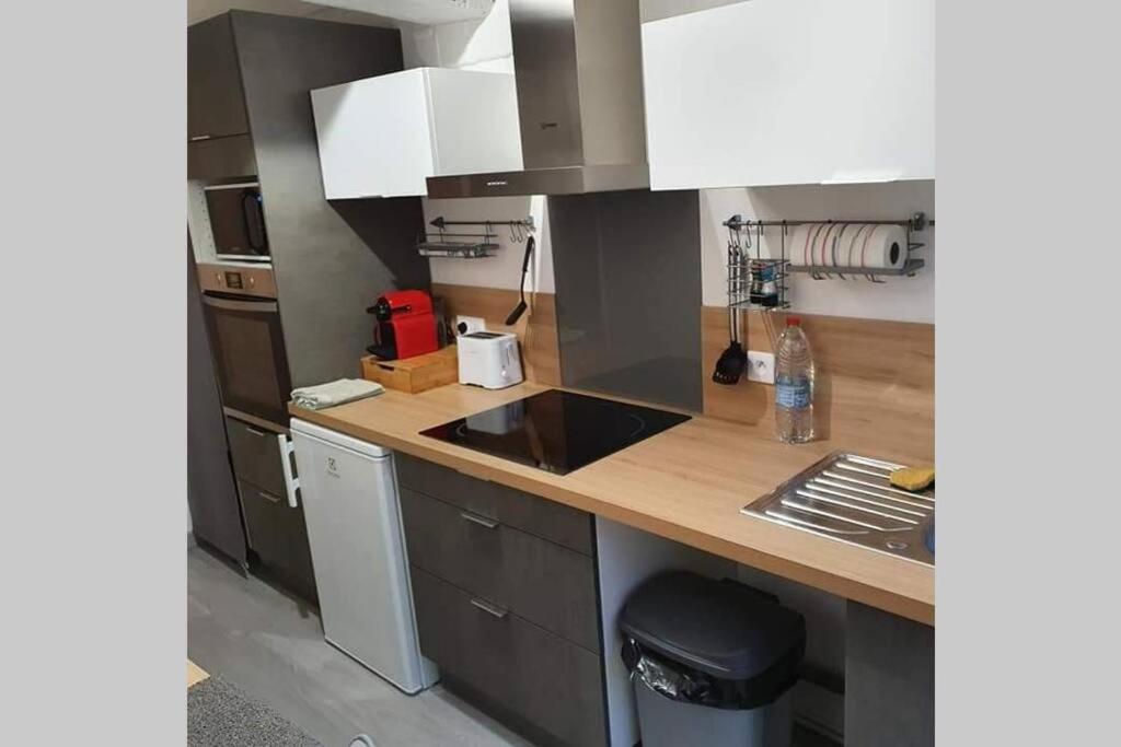 Appartement Avec Jardin Hyper Entre Valenciennes Zewnętrze zdjęcie