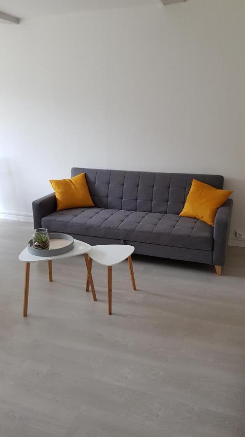 Appartement Avec Jardin Hyper Entre Valenciennes Zewnętrze zdjęcie
